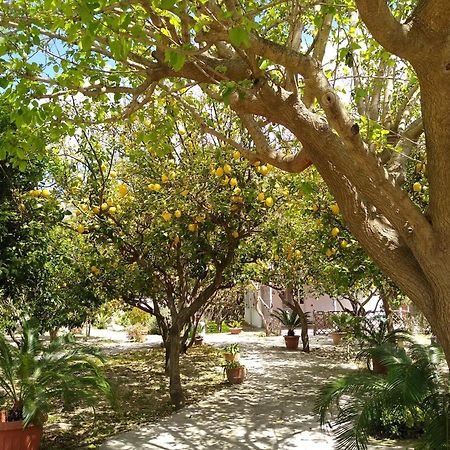 Forio di Ischia Residence Limoneto Ischia מראה חיצוני תמונה