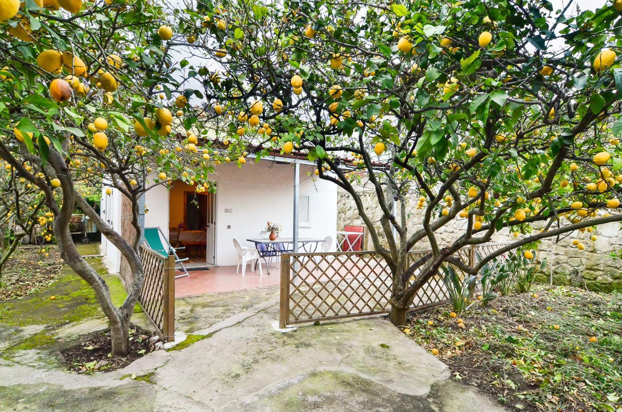 Forio di Ischia Residence Limoneto Ischia מראה חיצוני תמונה