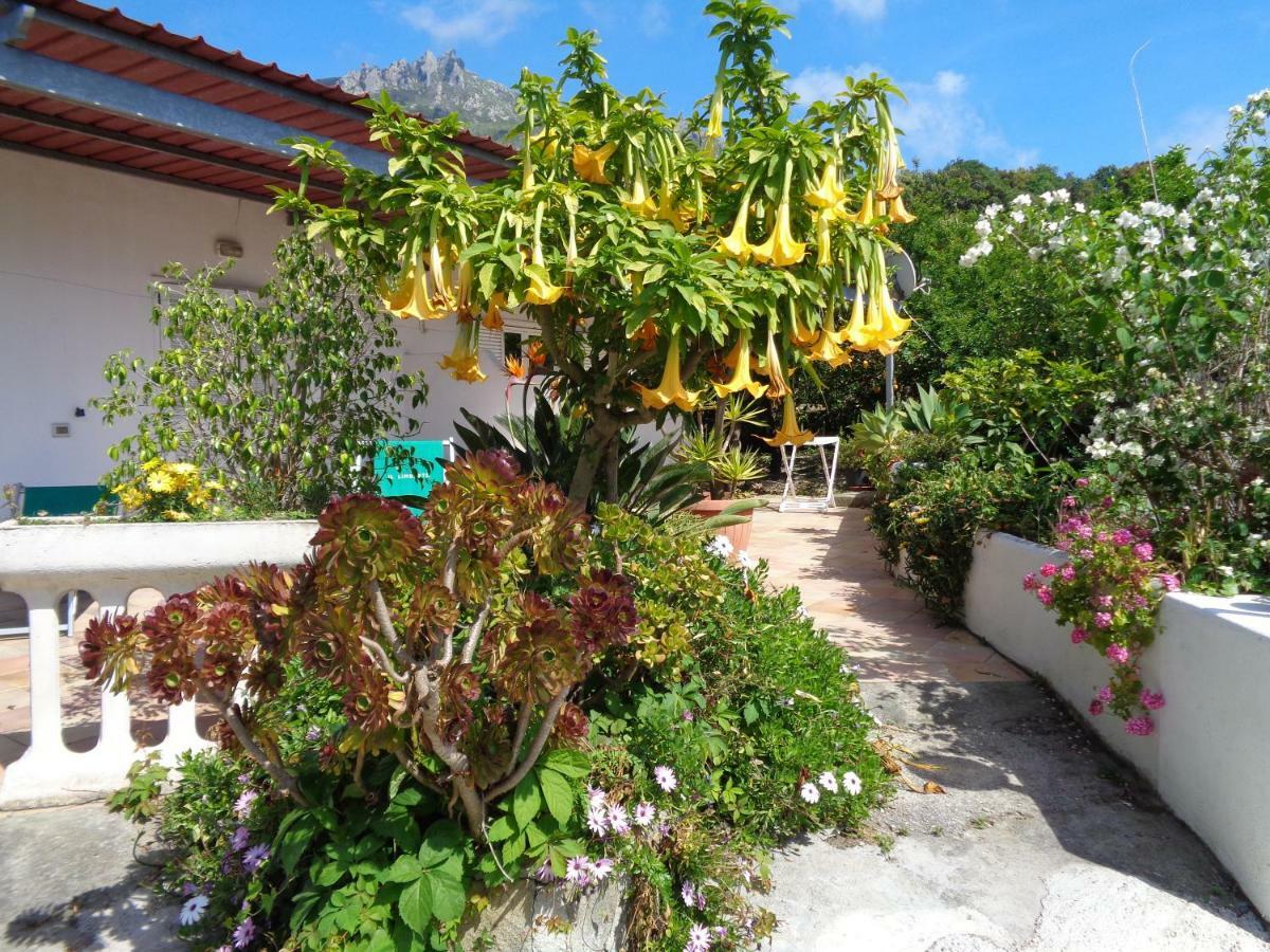 Forio di Ischia Residence Limoneto Ischia מראה חיצוני תמונה