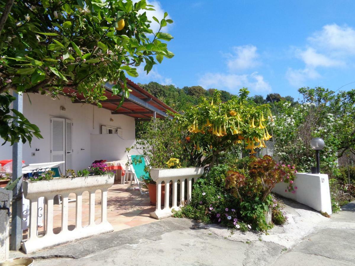 Forio di Ischia Residence Limoneto Ischia מראה חיצוני תמונה